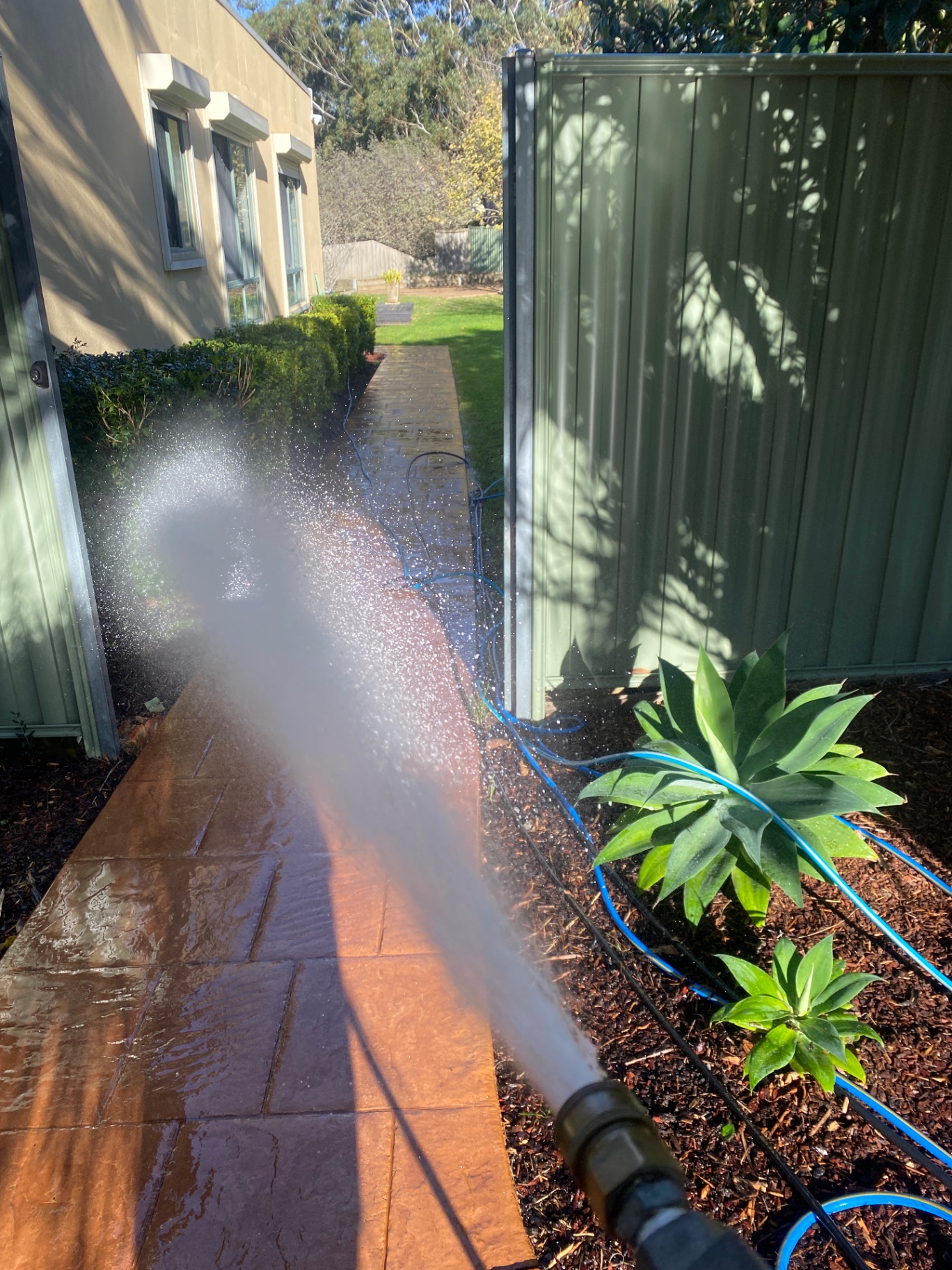 Pressure washing the side path alongside the house in Lysterfield South, Victoria — Bluewater Pressure Washing