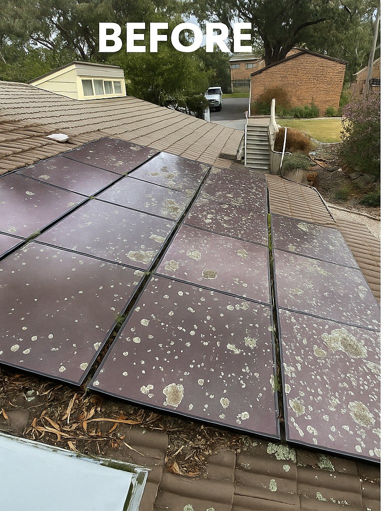 Rooftop solar array covered in lichen and leaf debris before cleaning in Cumberland Village in Wheelers Hill, Victoria — Bluewater Pressure Washing